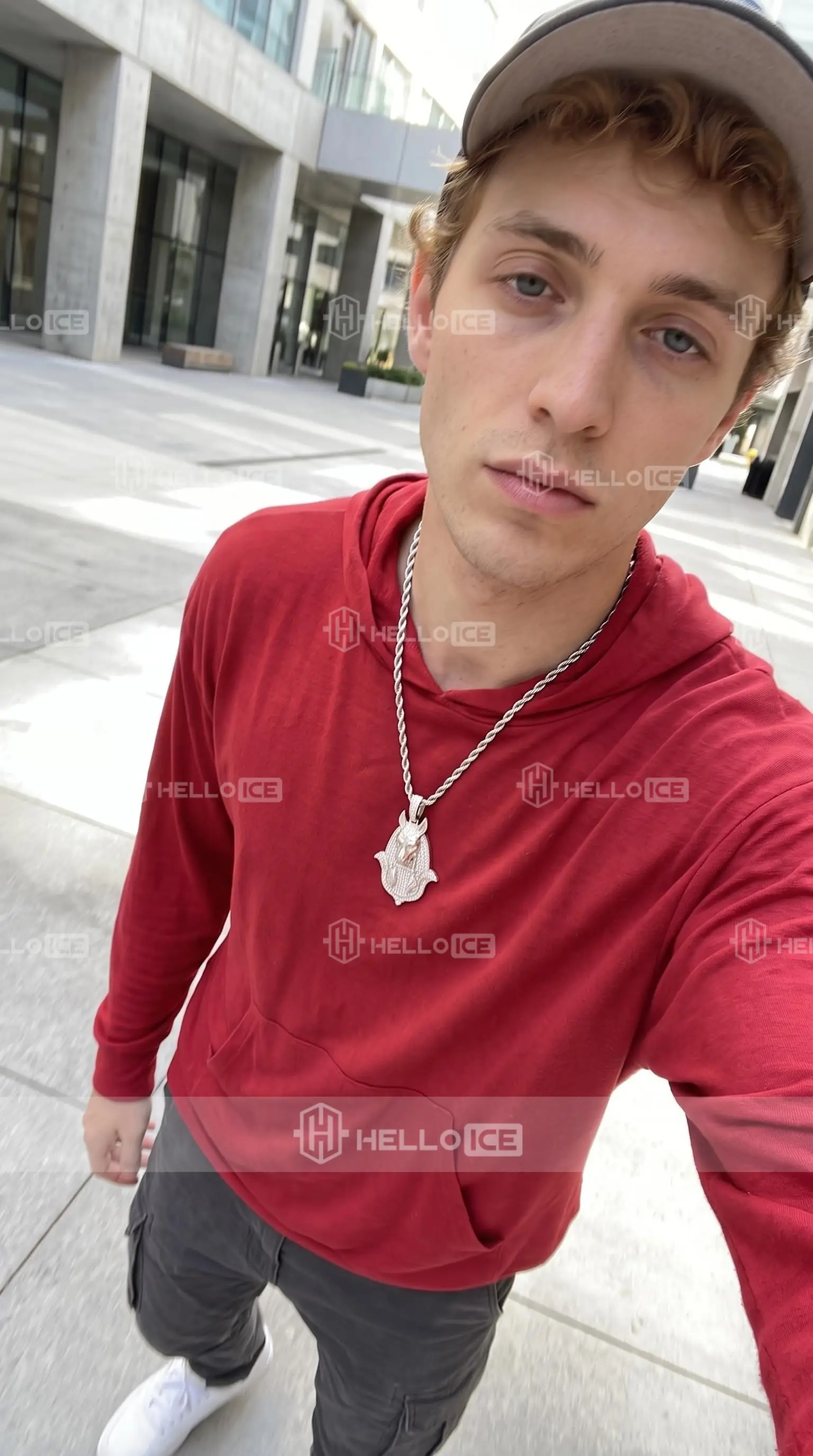 Helloice Review Image