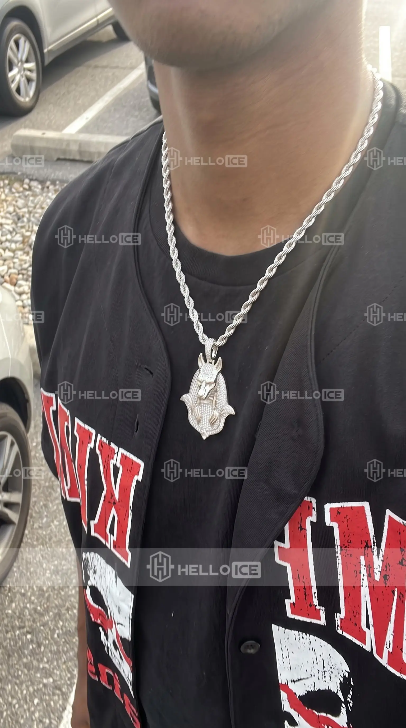 Helloice Review Image