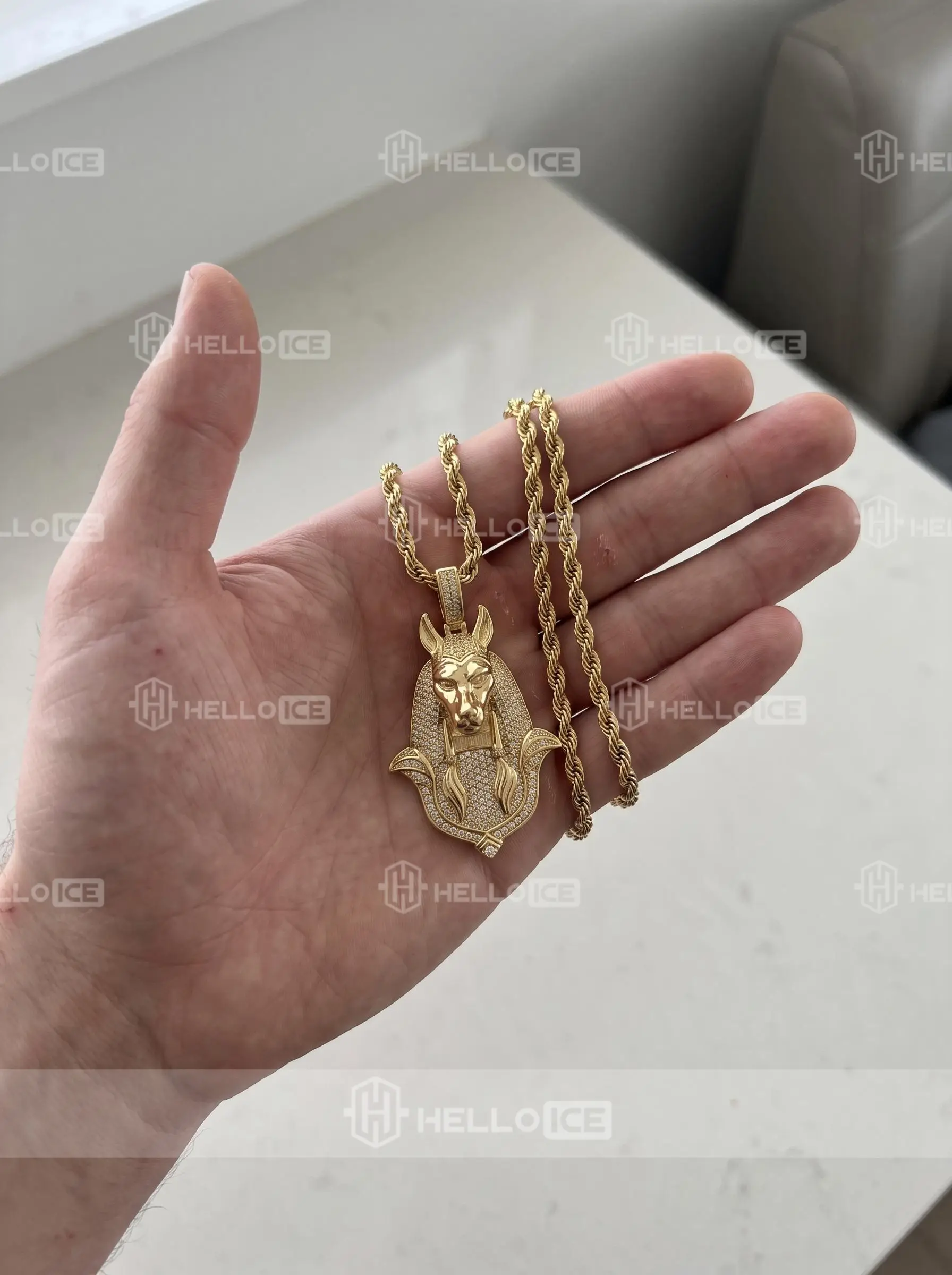 Helloice Review Image
