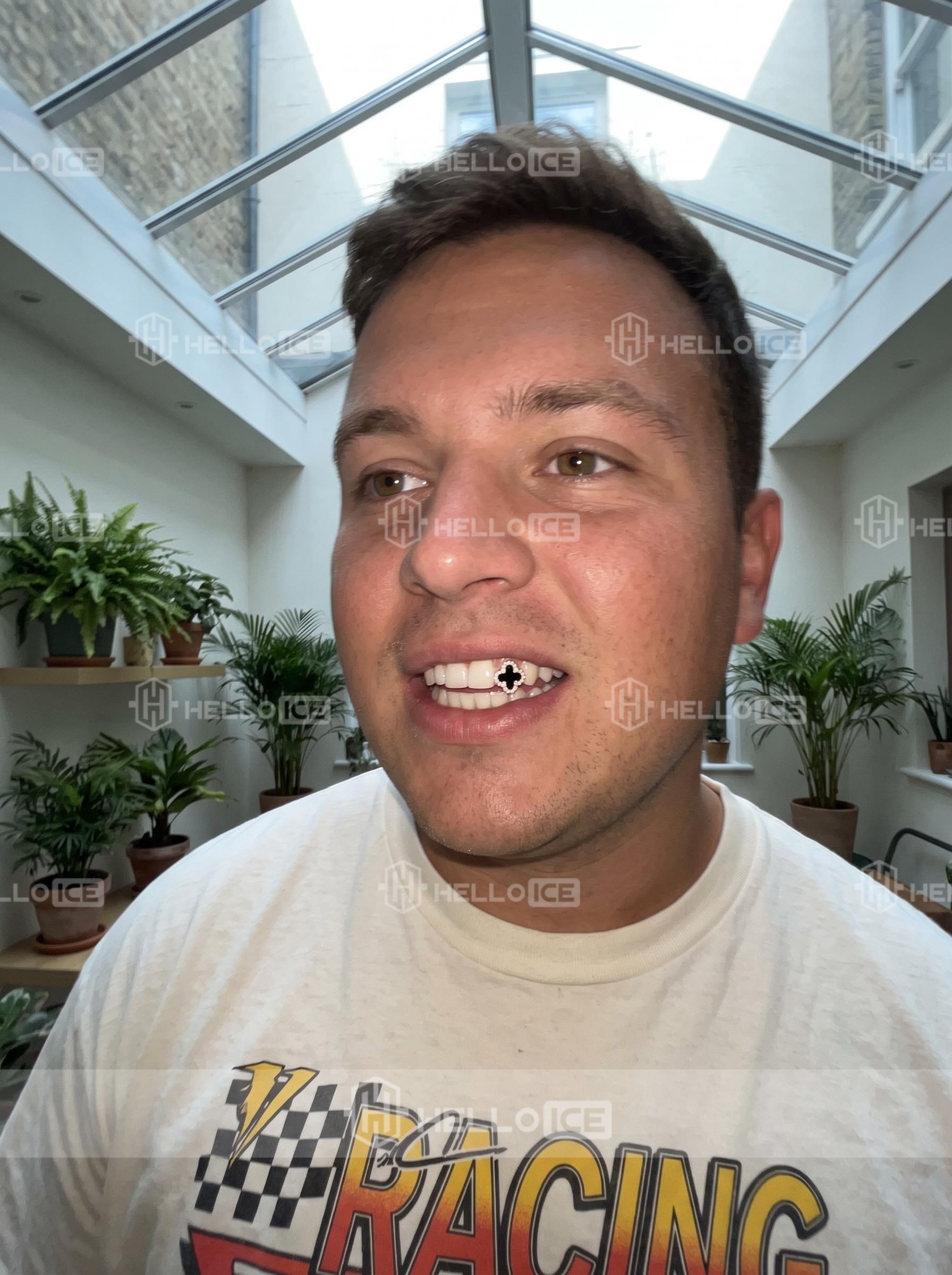 Helloice Review Image