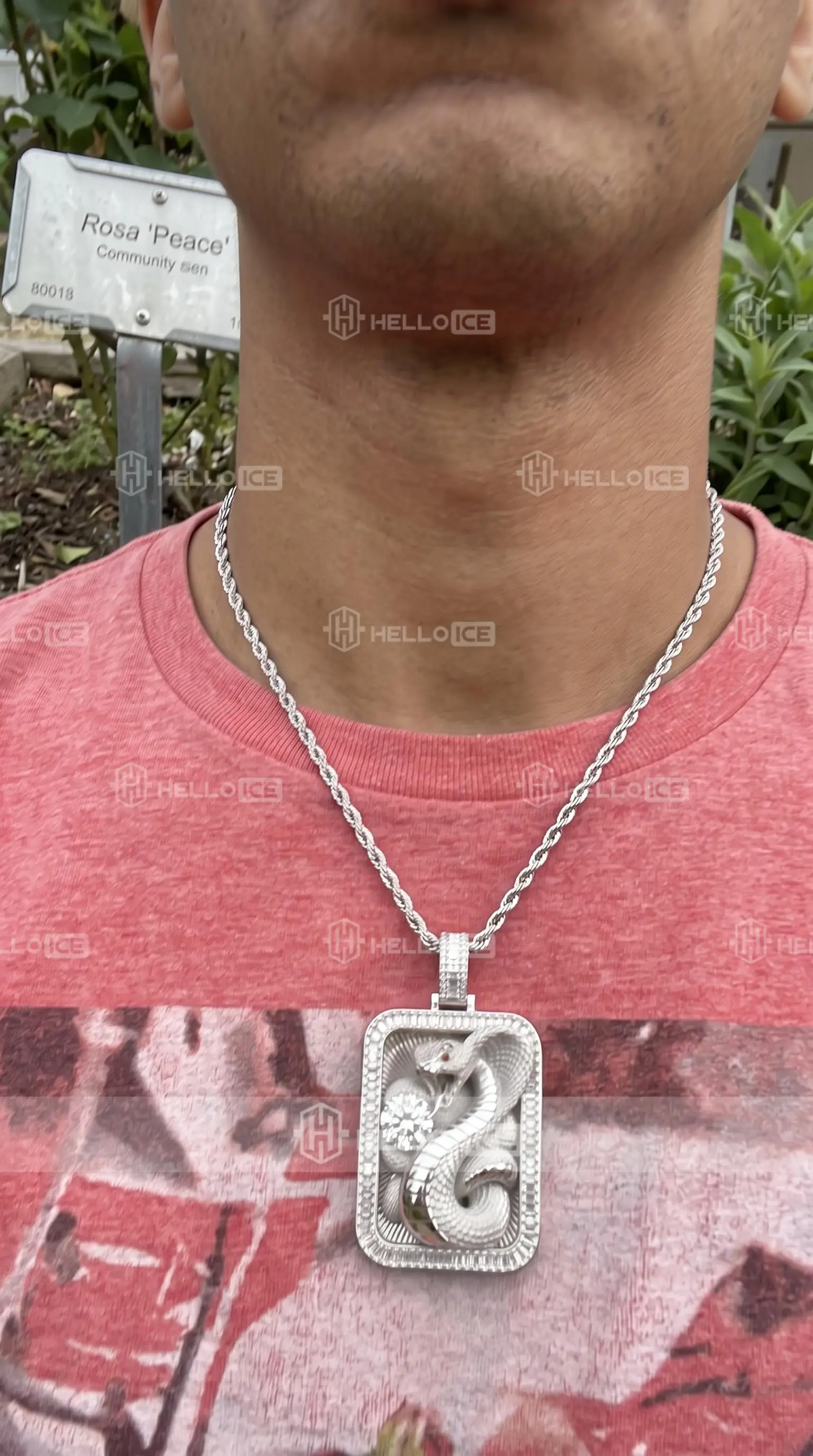 Helloice Review Image