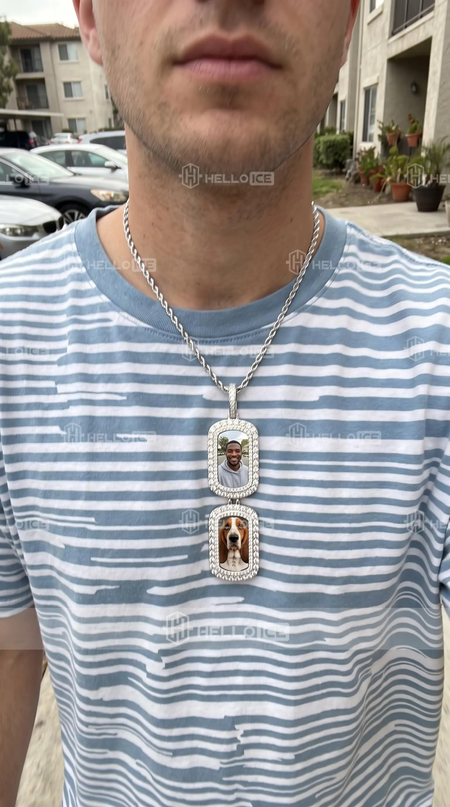 Helloice Review Image
