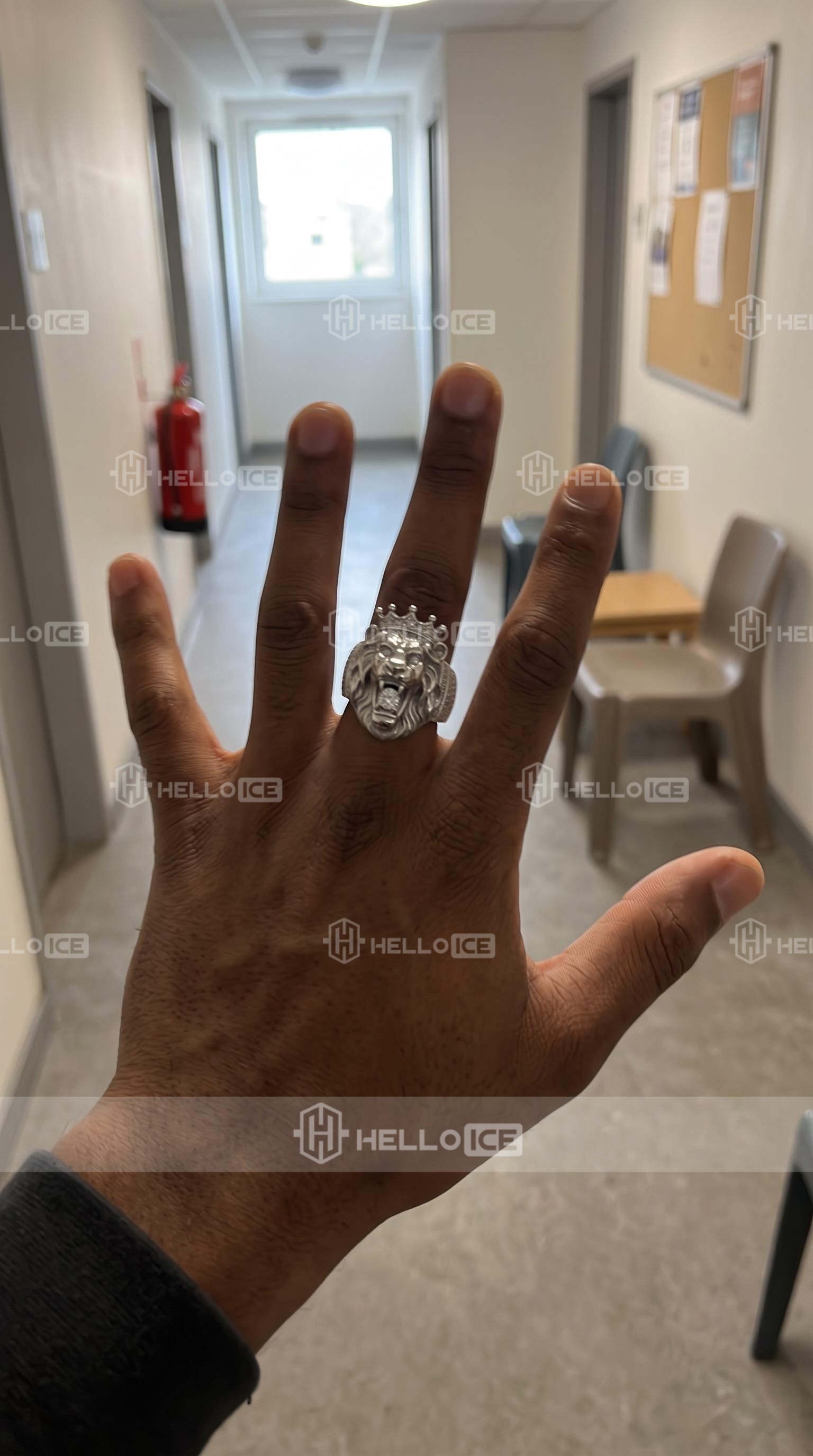 Helloice Review Image