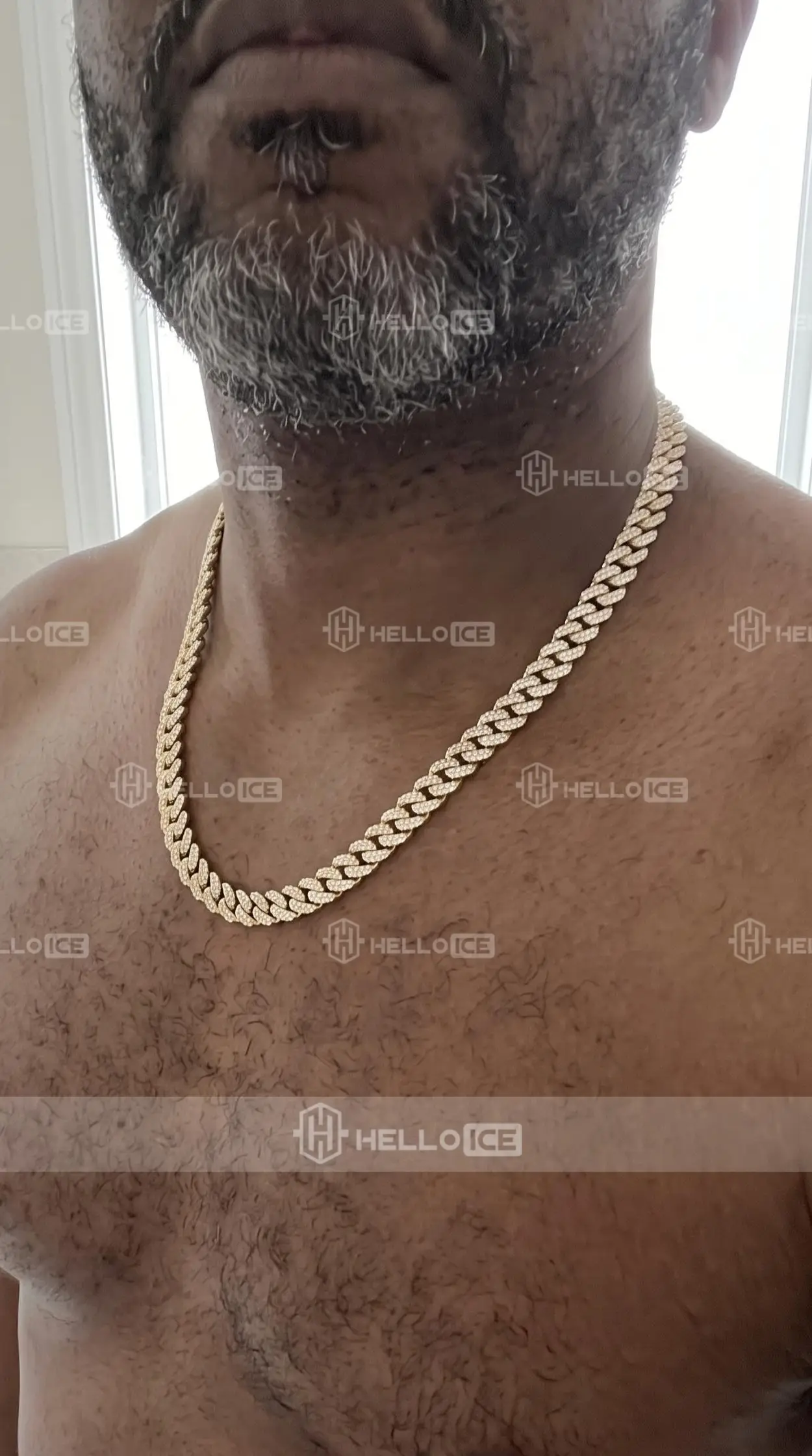 Helloice Review Image
