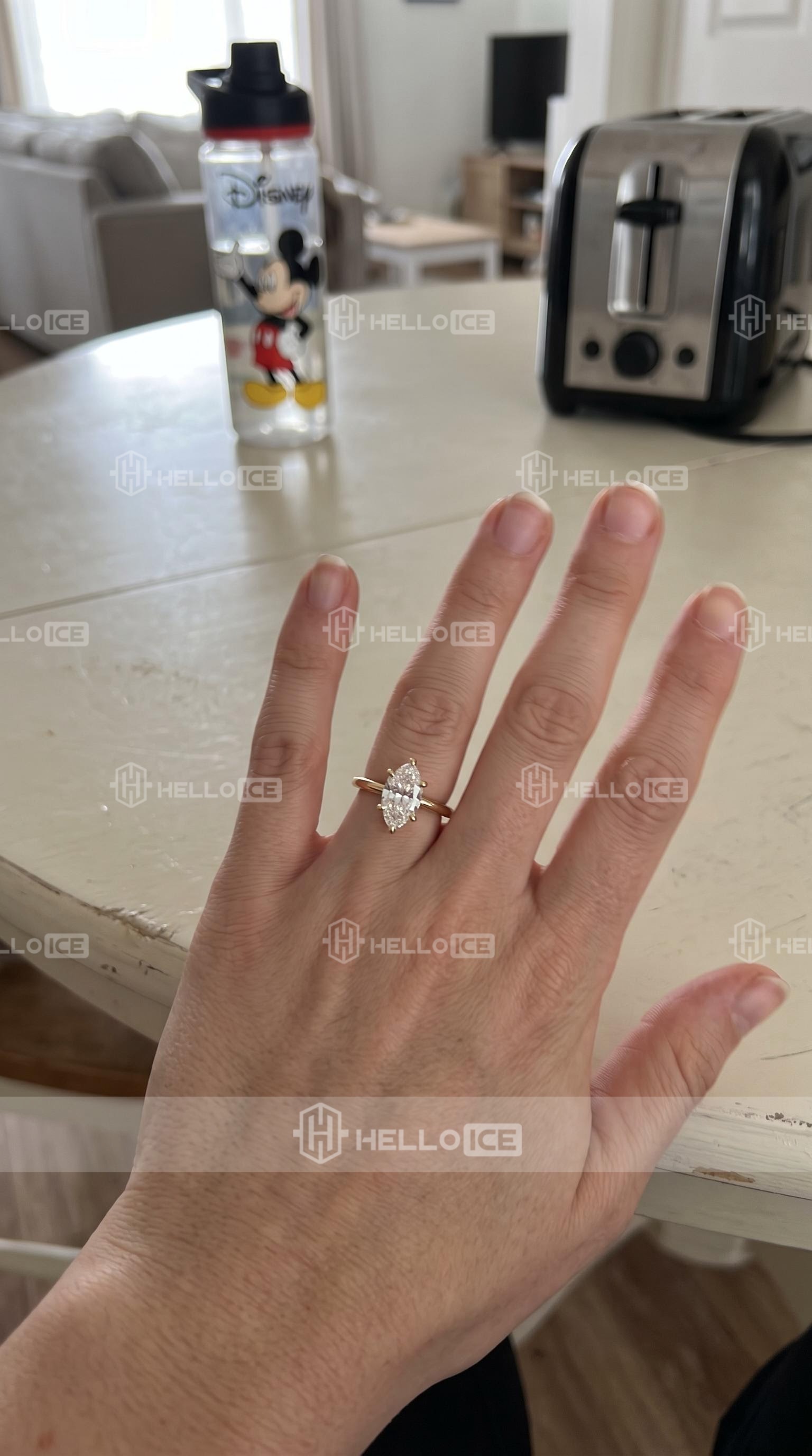 Helloice Review Image