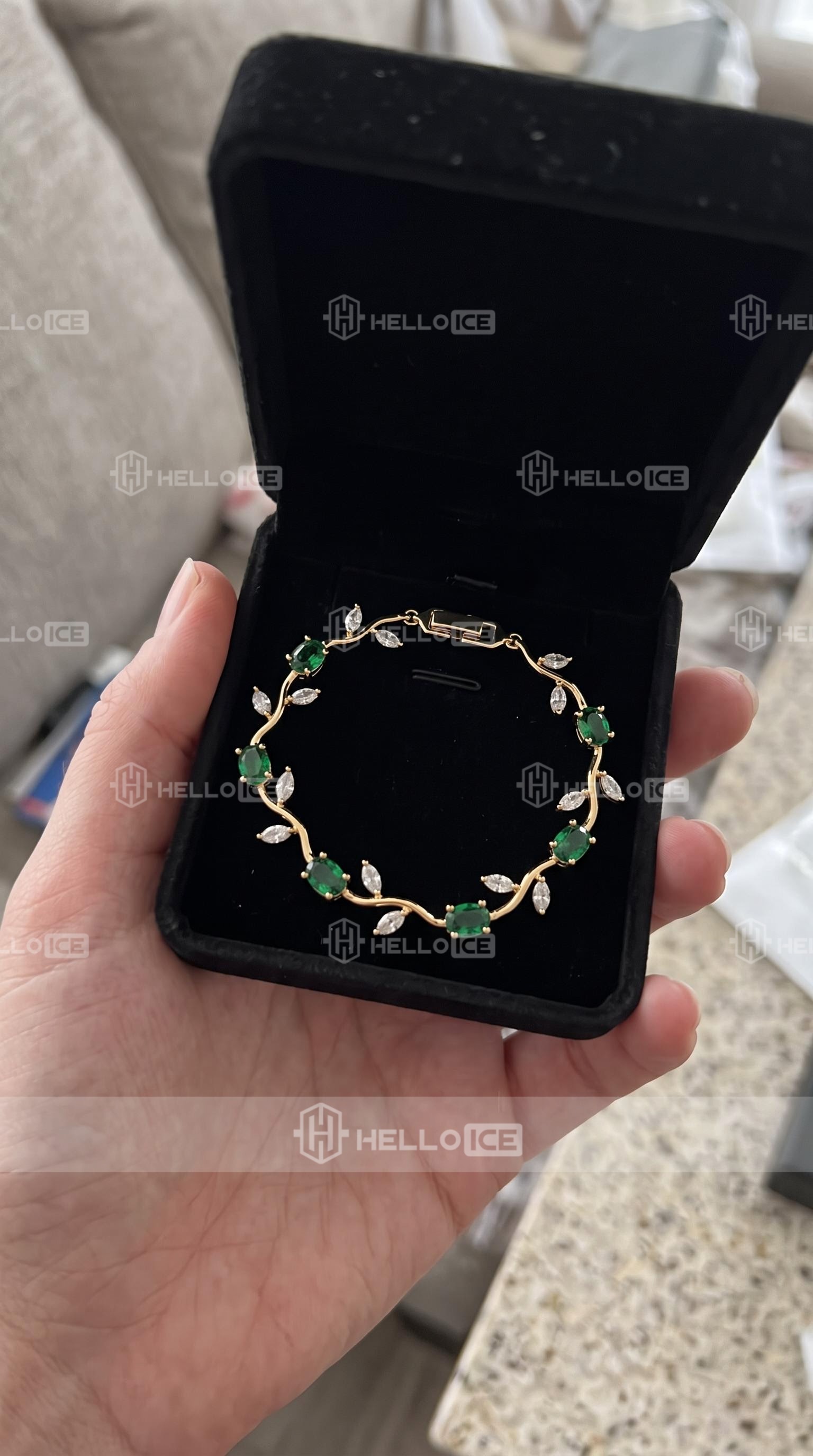 Helloice Review Image