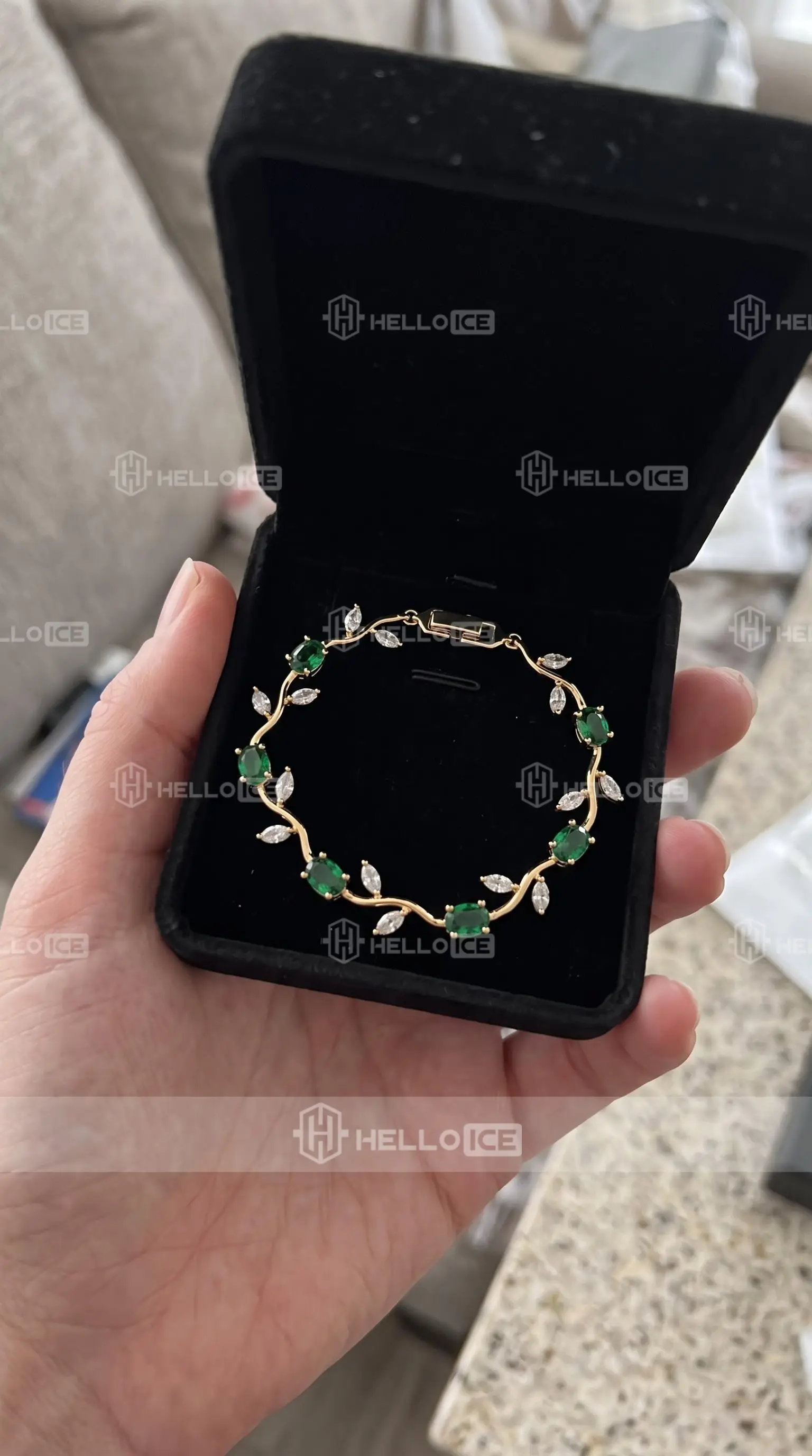 Helloice Review Image