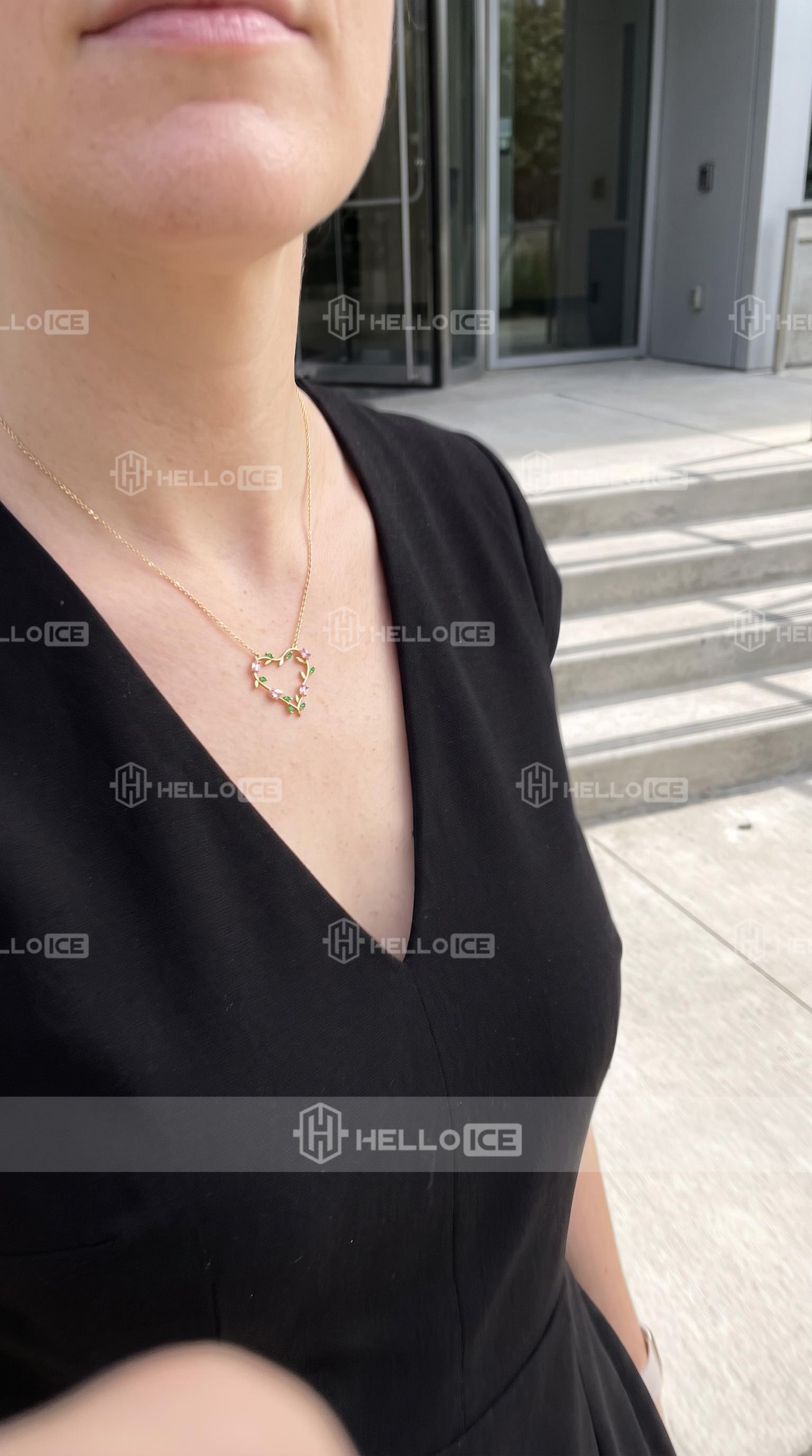Helloice Review Image