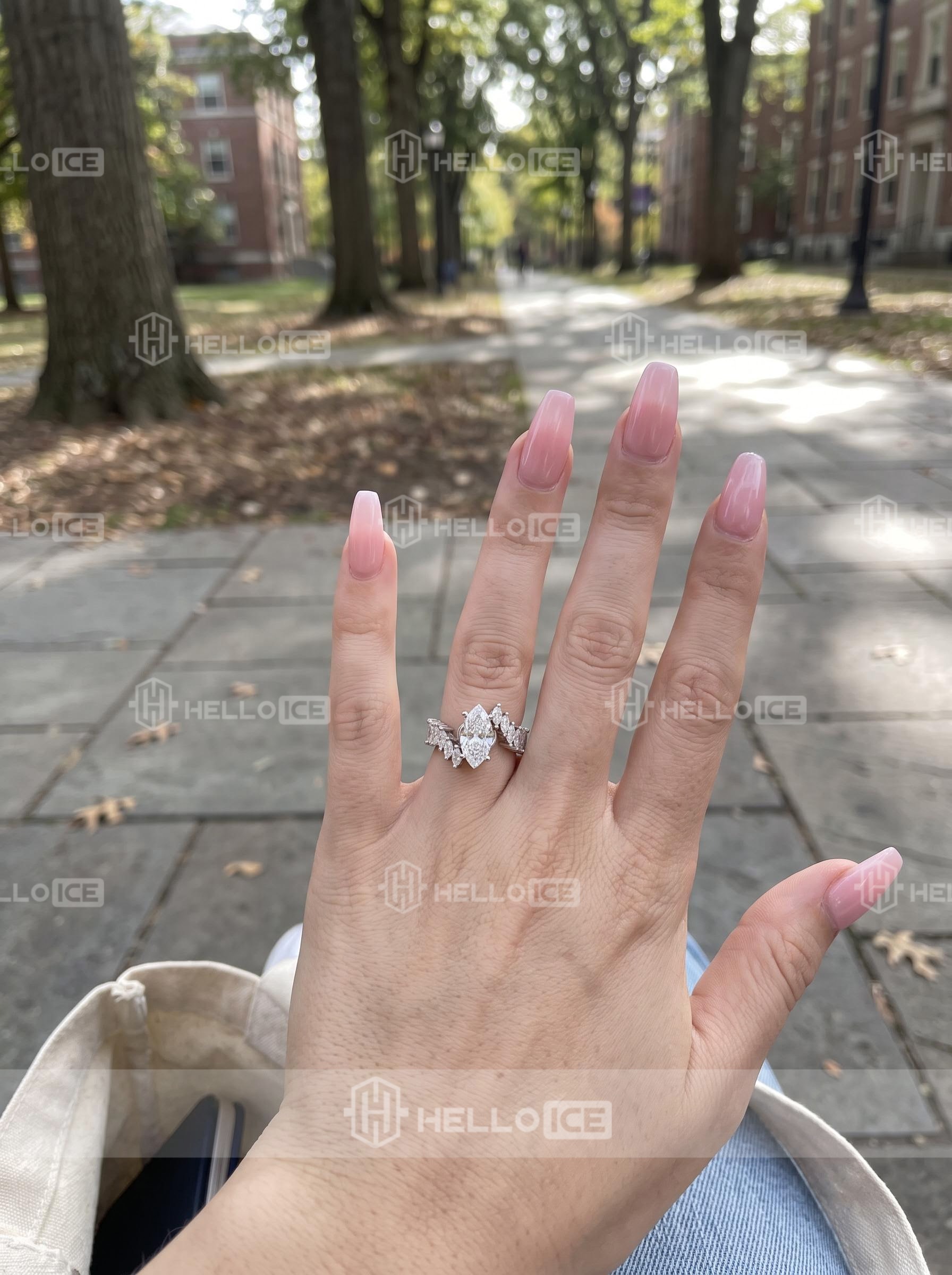 Helloice Review Image