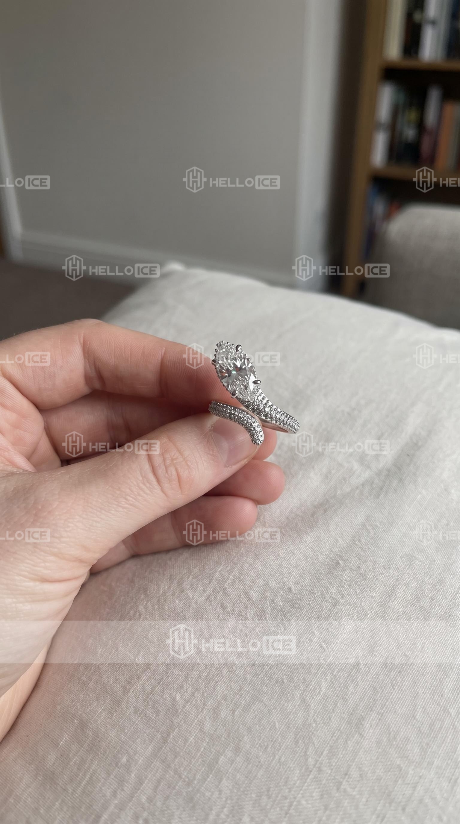 Helloice Review Image