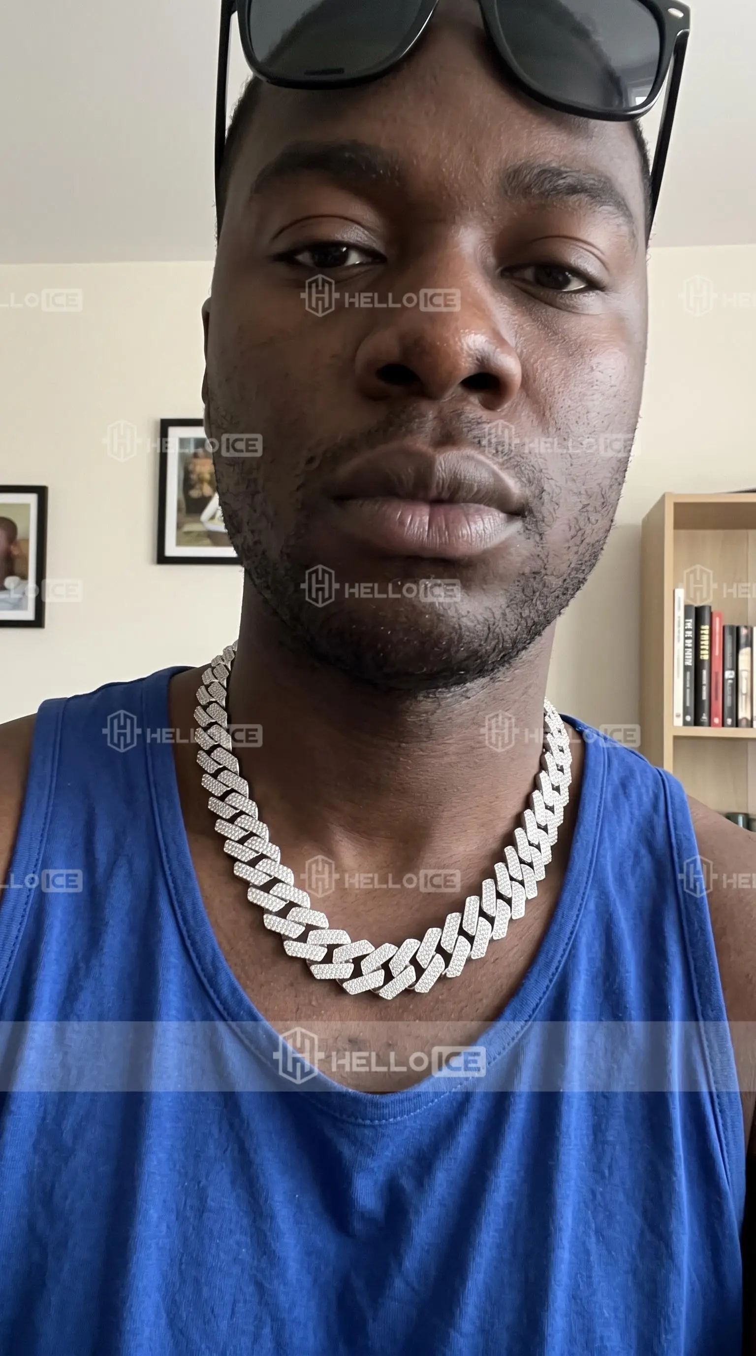 Helloice Review Image