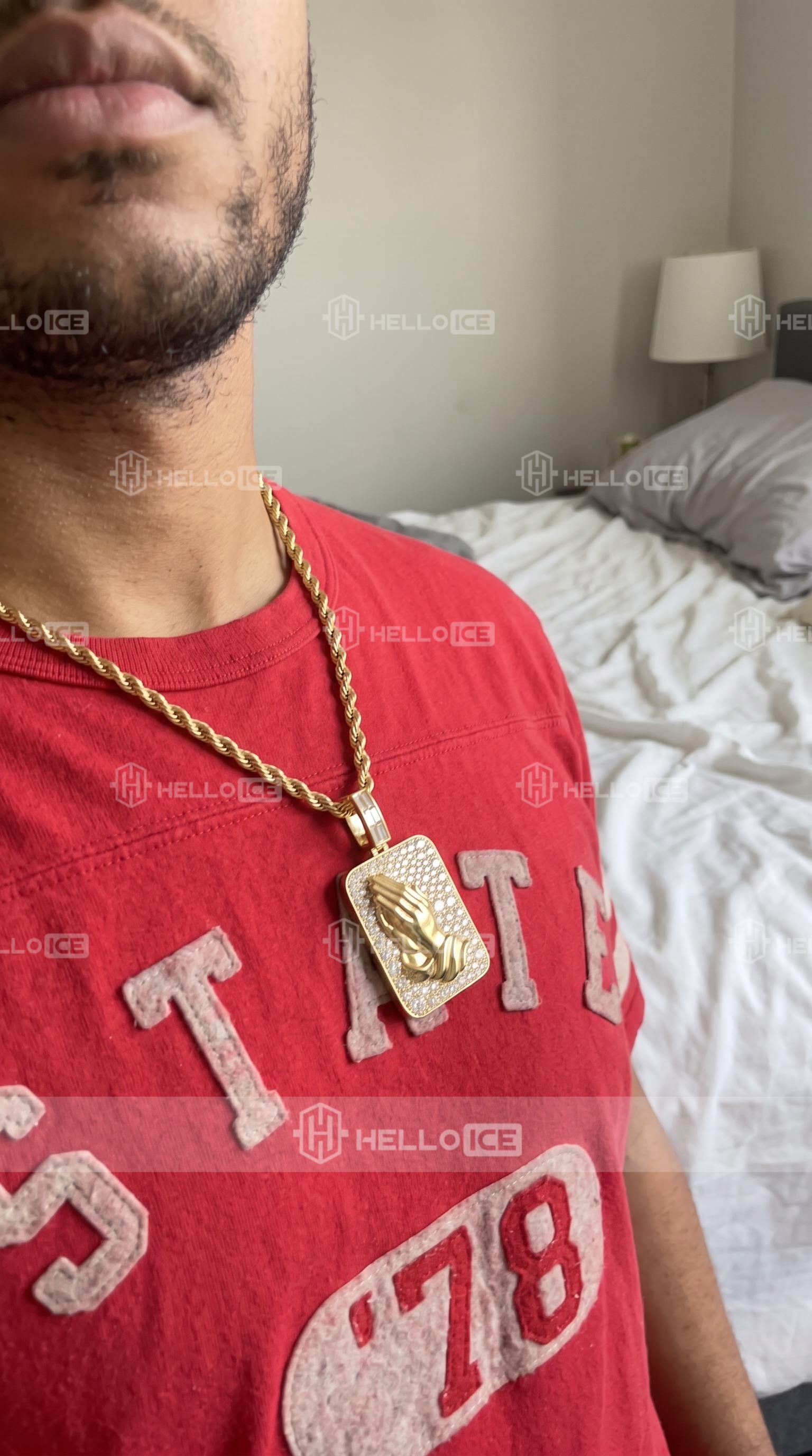 Helloice Review Image
