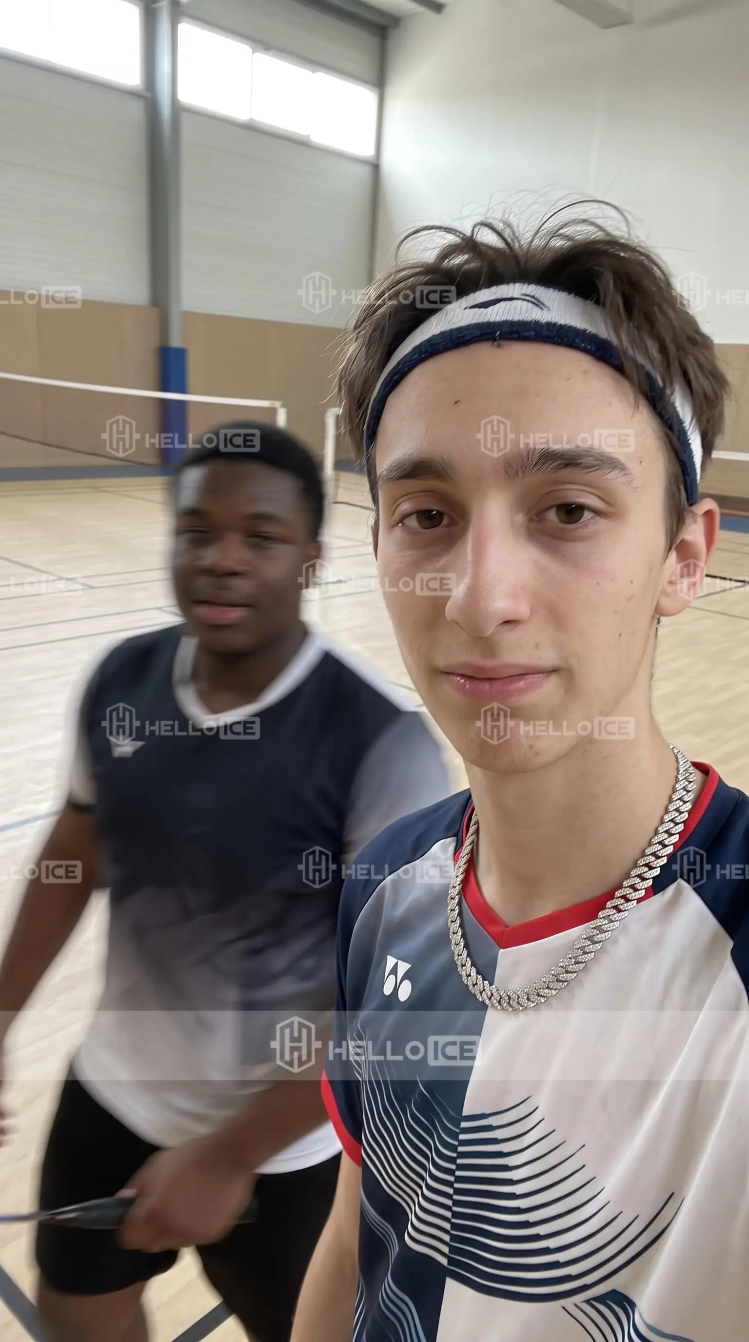 Helloice Review Image
