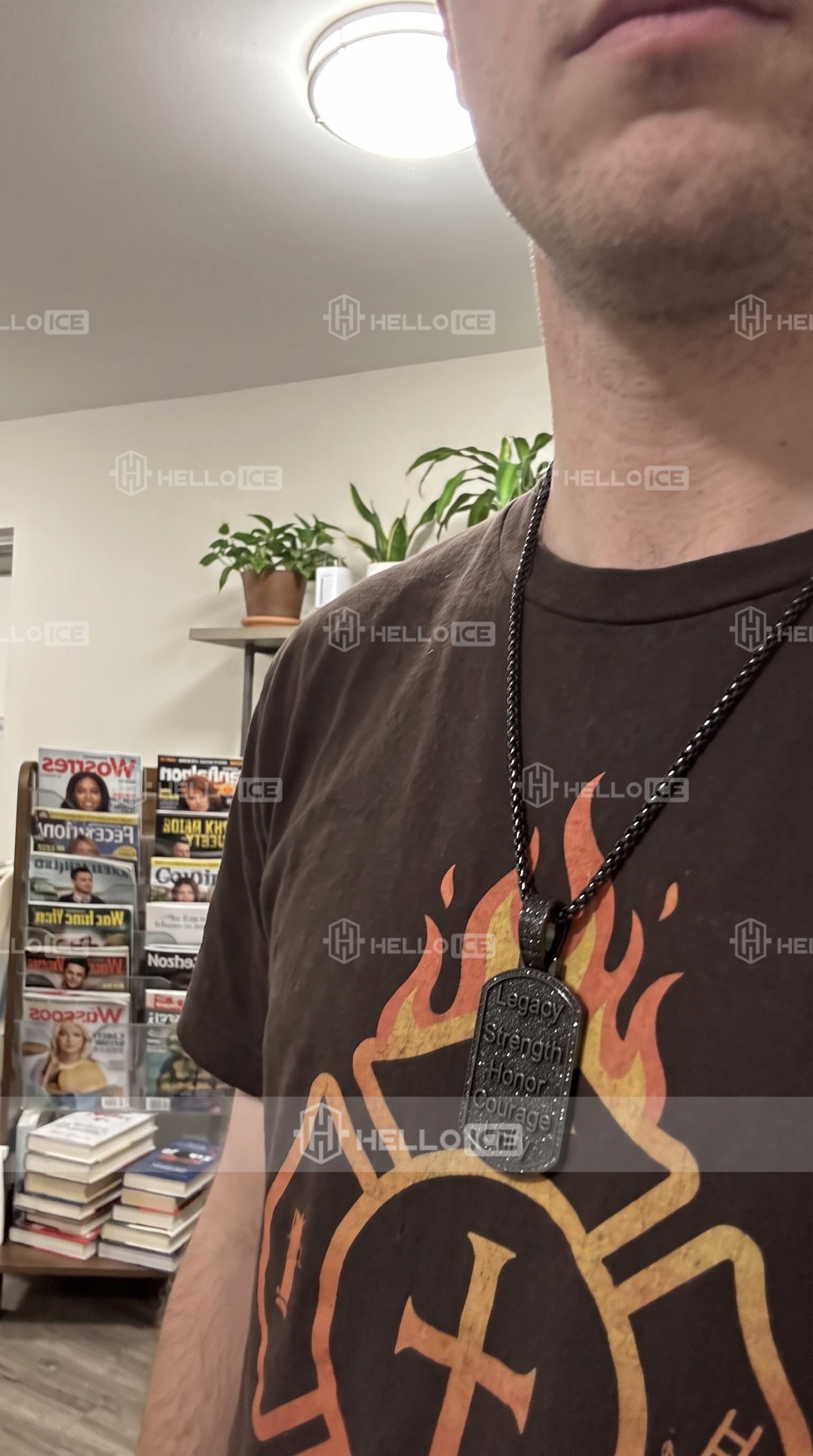 Helloice Review Image
