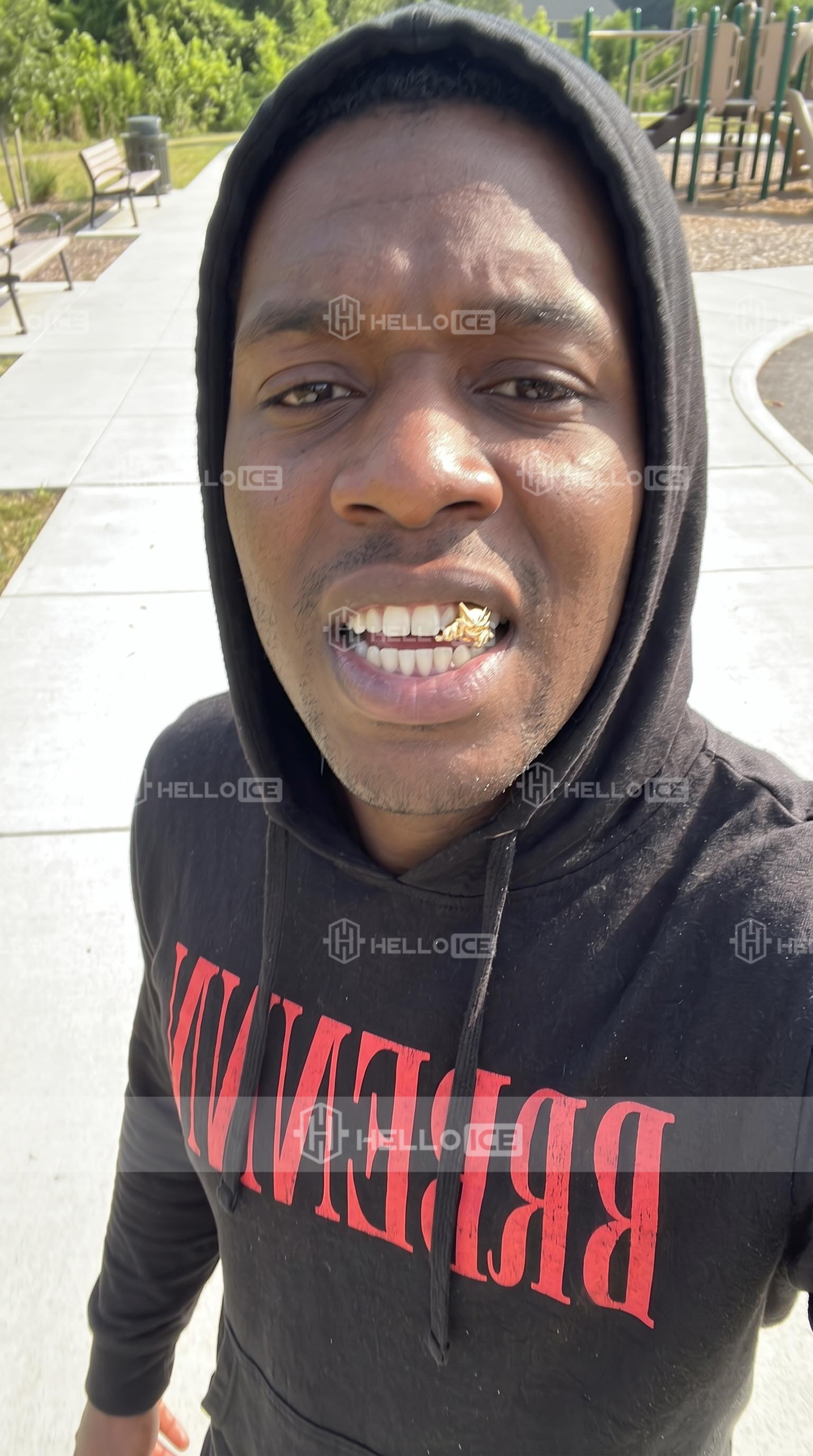 Helloice Review Image