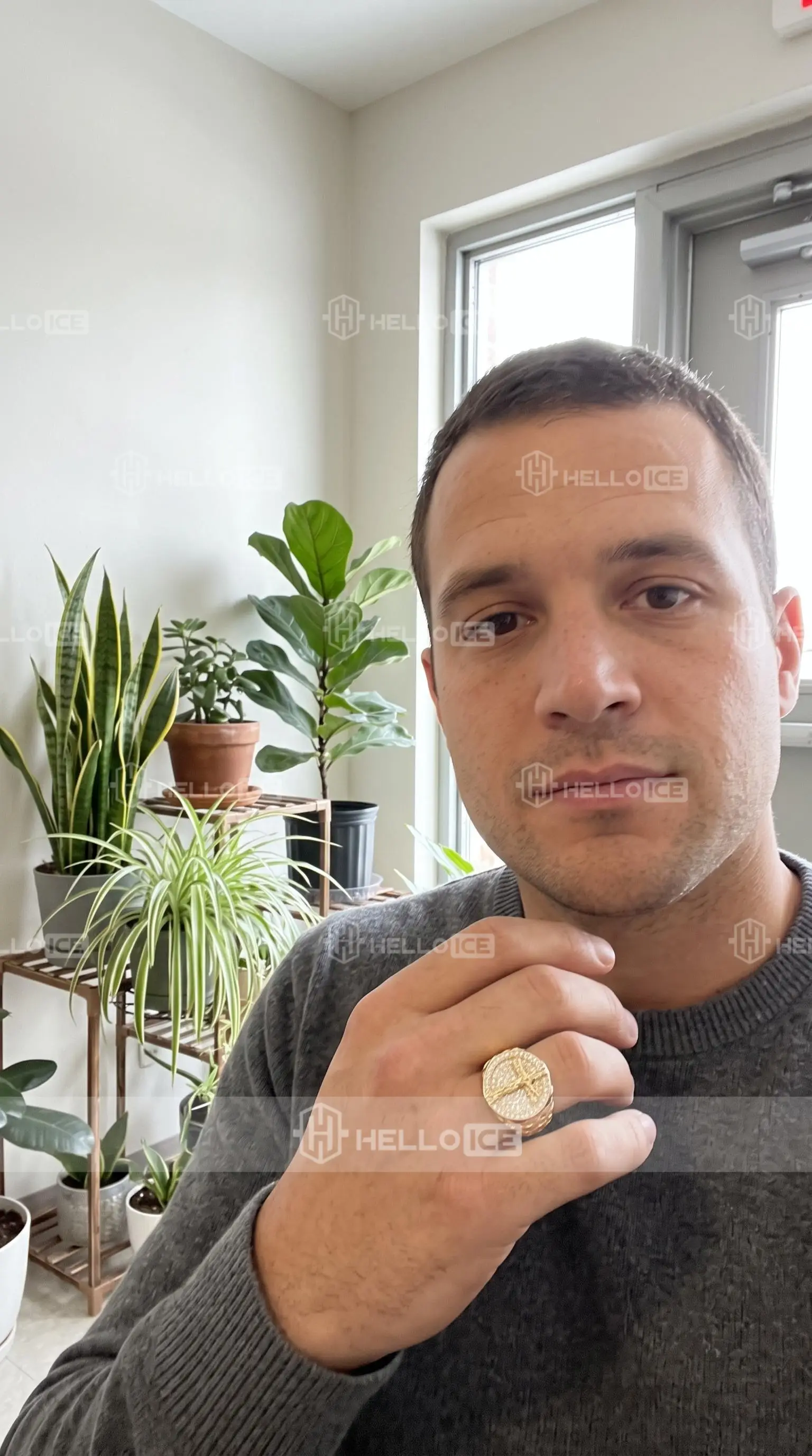 Helloice Review Image