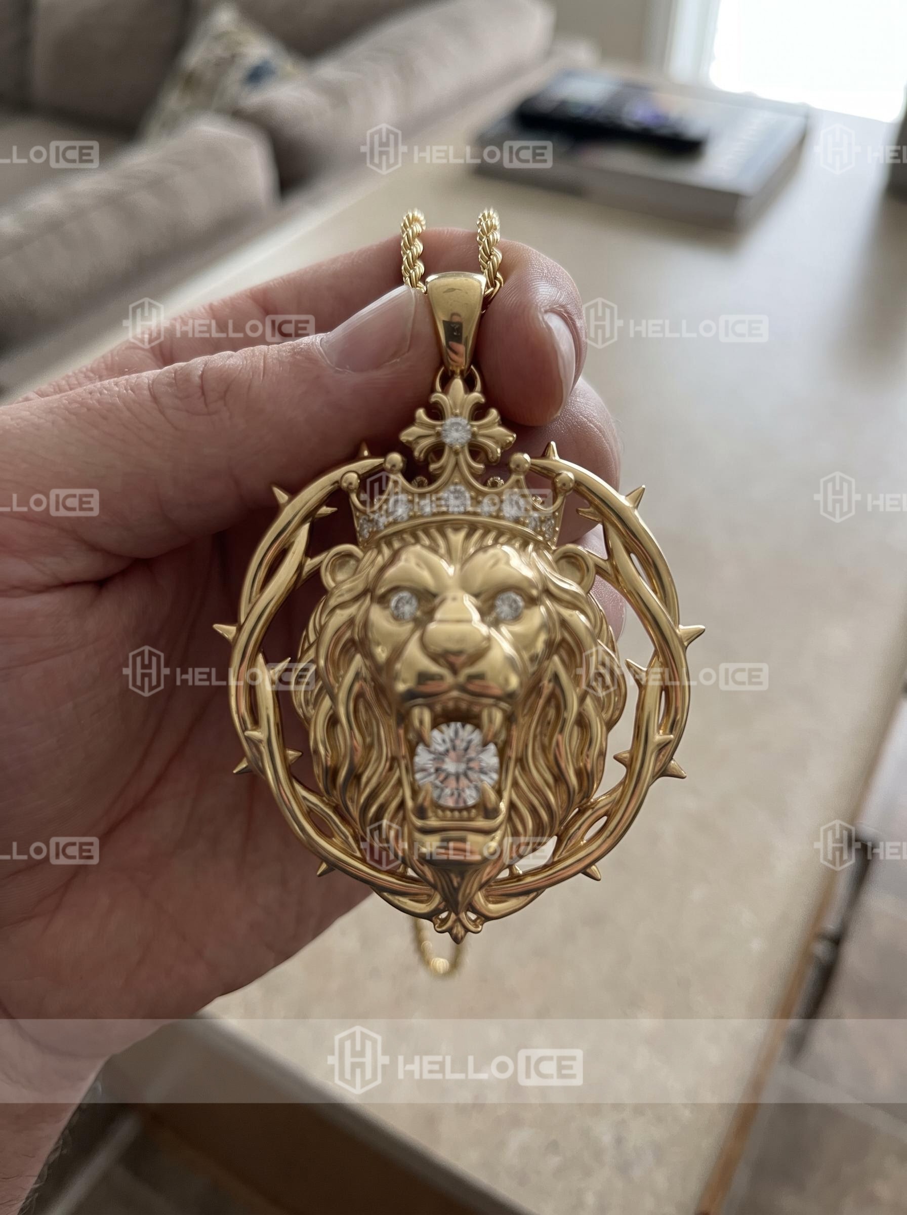 Helloice Review Image