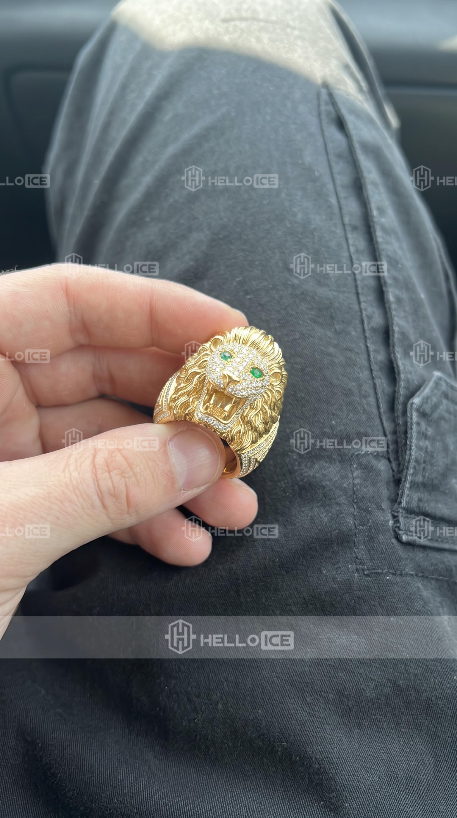 Helloice Review Image
